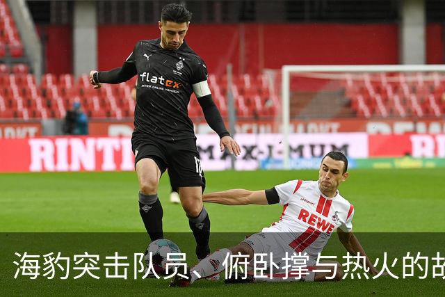 海豹突击队员、俯卧撑与热火的故事：字母哥的奇妙初体验