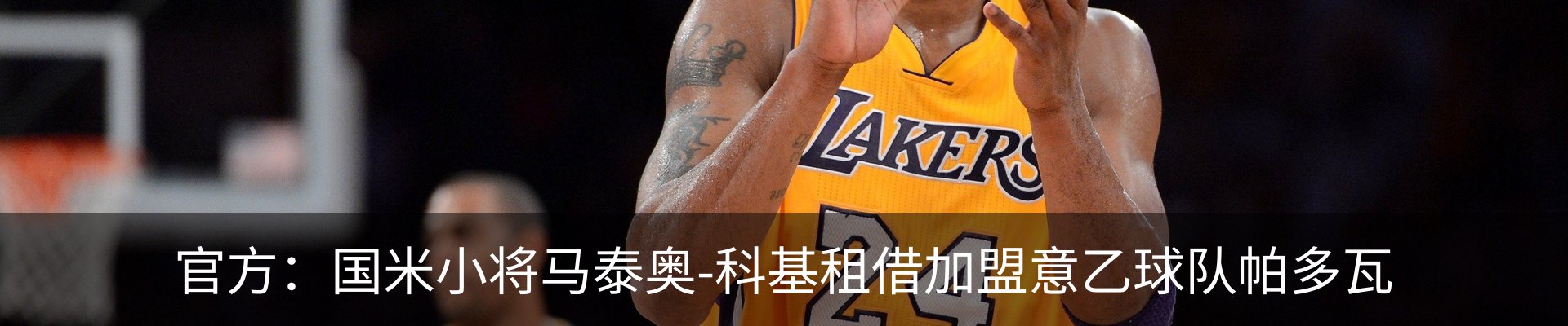 新闻动态